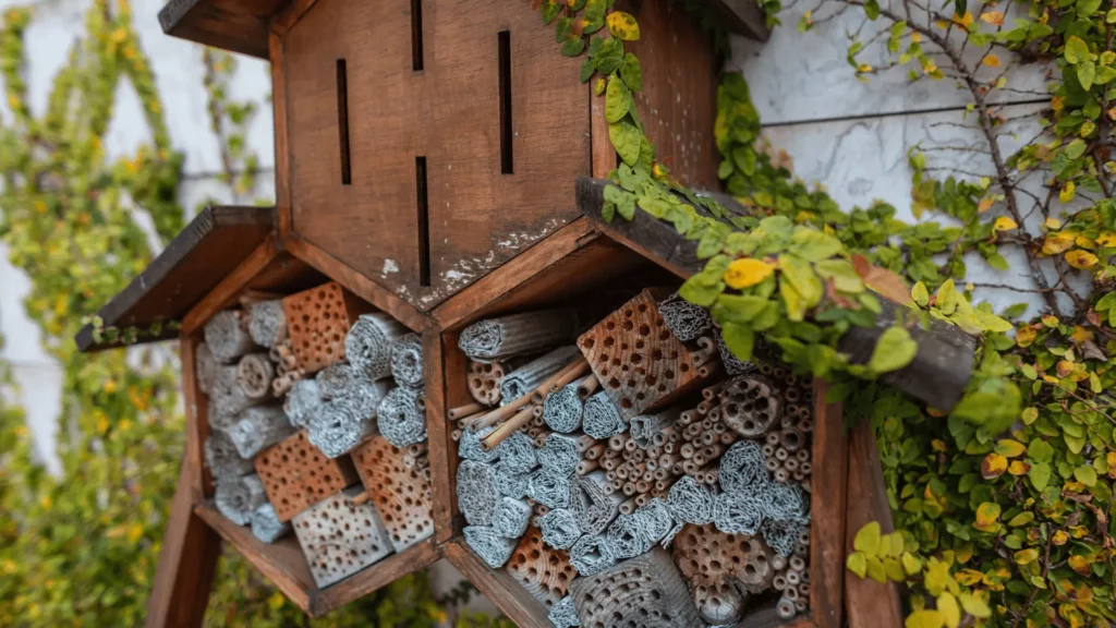 Bee-Friendly Gardens