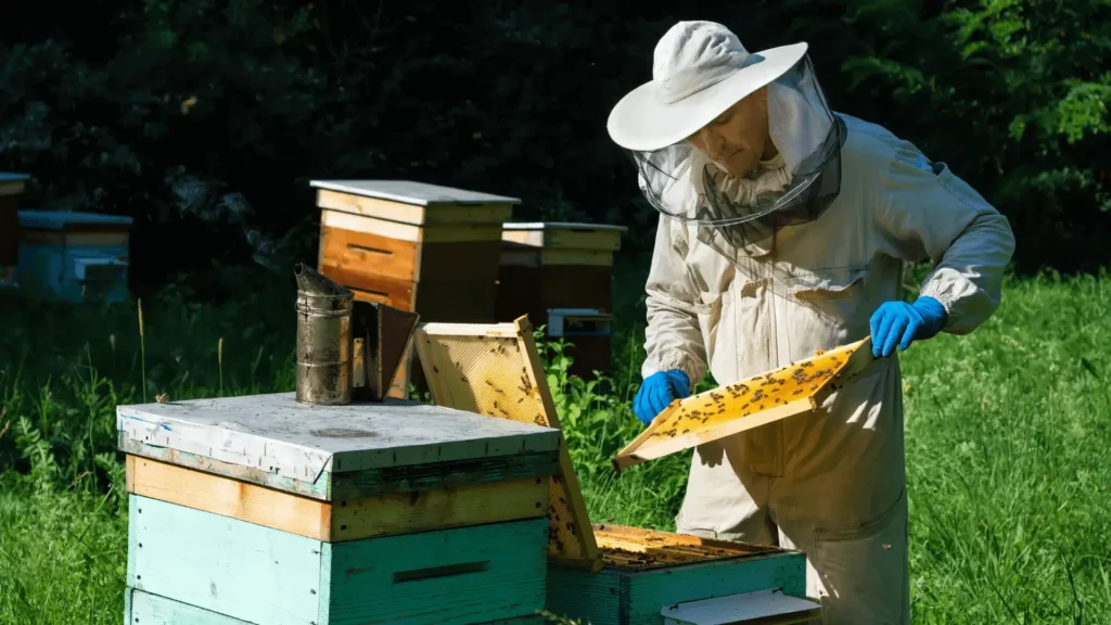 Beekeepers Toolbox