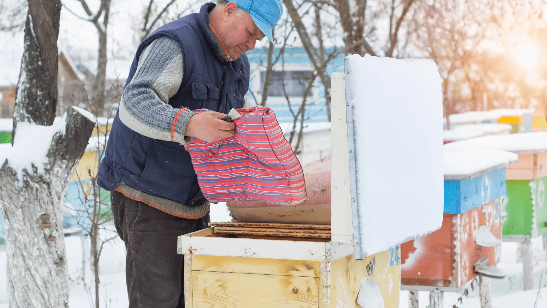 Winter Beehive Insulation