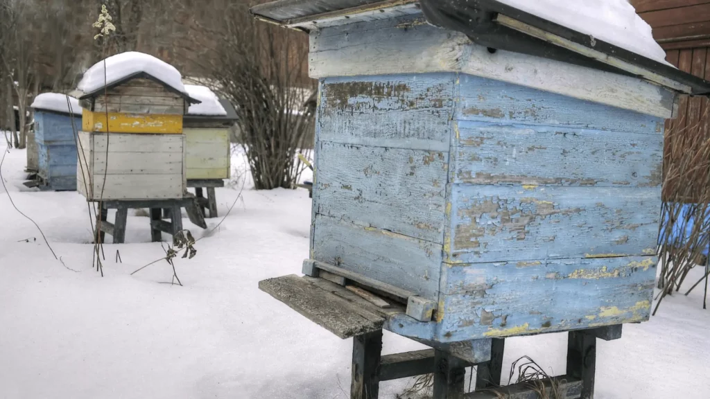 Winterizing Bee Hives