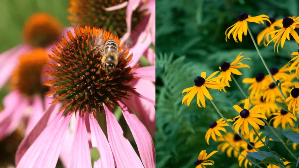 Flowers to Attract Bees