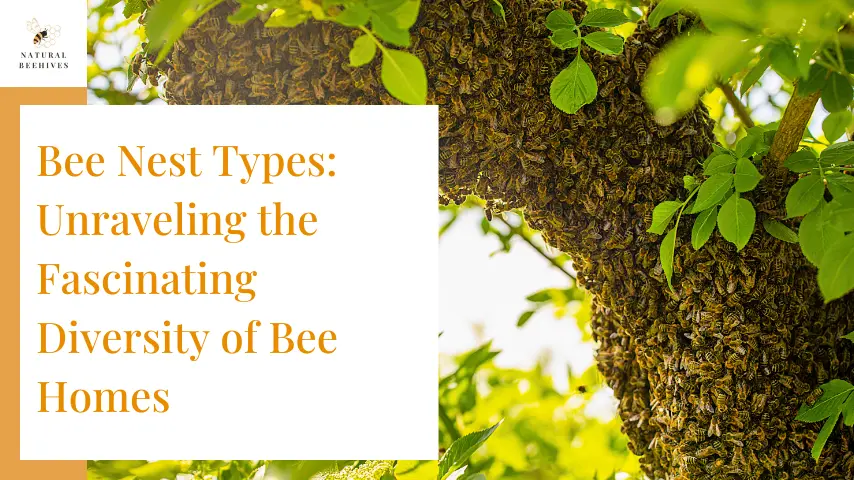 Bee Nest Types: Unraveling the Fascinating Diversity of Bee Homes