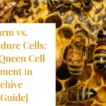 Bee Swarm vs. Supersedure Cells: Master Queen Cell Management in Your Beehive [Expert Guide]