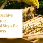 Master Beehive Splitting: 13 Essential Steps for Beekeepers