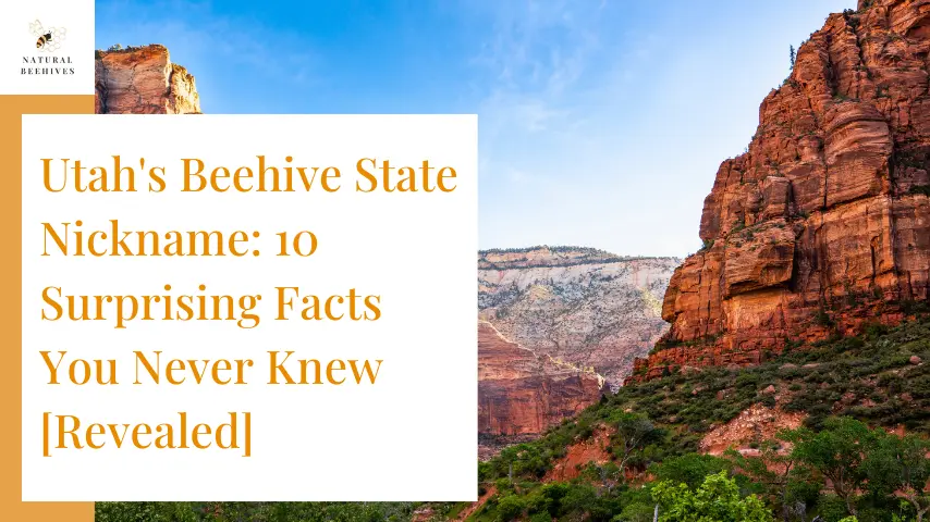 Utah's Beehive State Nickname 10 Surprising Facts You Never Knew [Revealed]