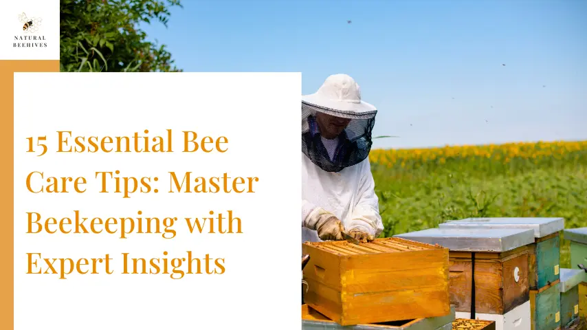 Essential Bee Care Tips: Master Beekeeping with Expert Insights